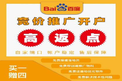 顶尖SEM竞价代运营公司案例分析